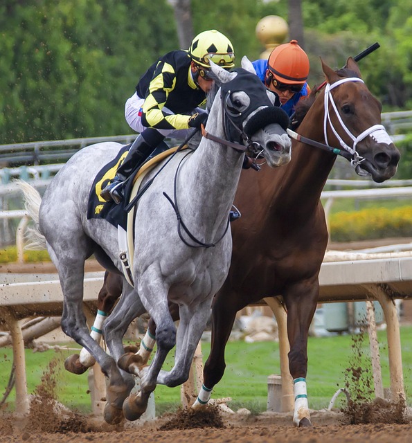 不仅因其香